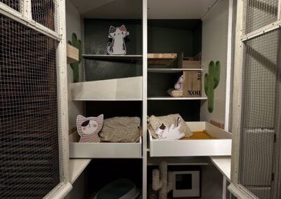 Loge du concierge, box individuel d'accueil pension pour chats,