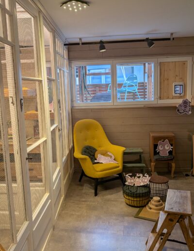 Espace commun la Guinguette, pension et chatterie pour chats à Saxon, vue avec échelles pour grimper, perchoirs et dodos.