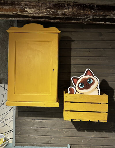 Espace commun la Guinguette, pension et chatterie pour chats à Saxon , armoire fermée