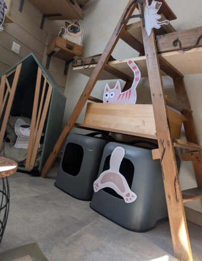 Espace commun la Guinguette, pension et chatterie pour chats à Saxon, litières et dodos