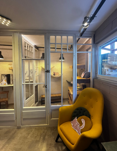 Espace commun la Guinguette, pension et chatterie pour chats à Saxon, vue sur box indivduel