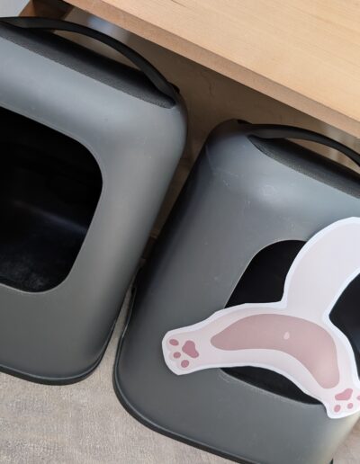 Espace commun la Guinguette, pension et chatterie pour chats à Saxon, litières