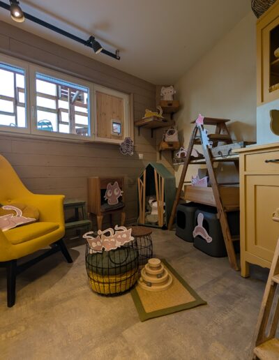 Espace commun la Guinguette, pension et chatterie pour chats à Saxon , vue d'ensemble
