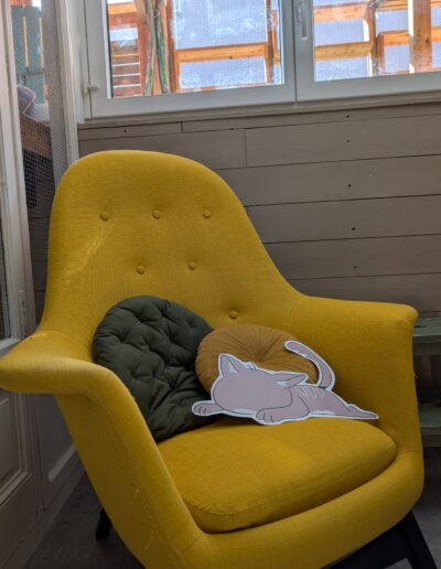 Espace commun la Guinguette, pension et chatterie pour chats à Saxon, fauteuil à chats