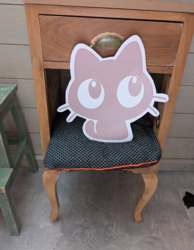Espace commun la Guinguette, pension et chatterie pour chats à Saxon, dodos cachettes