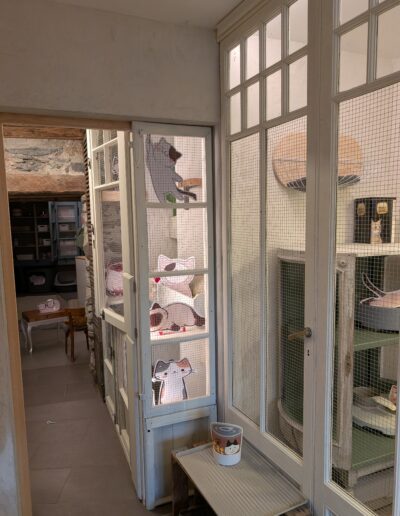 Espace commun la Guinguette, pension et chatterie pour chats à Saxon, loge avec vue sur pension