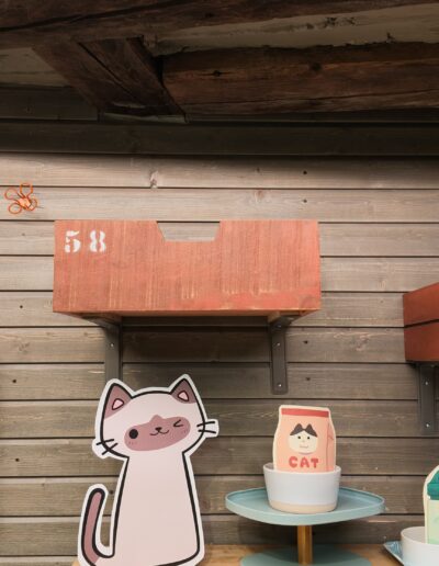Espace commun la Guinguette, pension et chatterie pour chats à Saxon , tiroirs dodos en hauteur